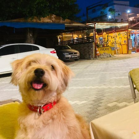 Hotel Doenmez Dalyan Zewnętrze zdjęcie